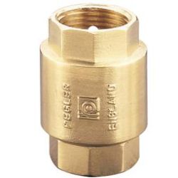 PEGLER BRASS SPRING CHECK VALVE 1063 PT | 2 1/2 IN
